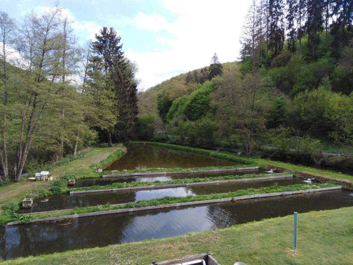 Zimmer Ohne Fruehstueck In Der Forellenzucht Burgen  Extérieur photo