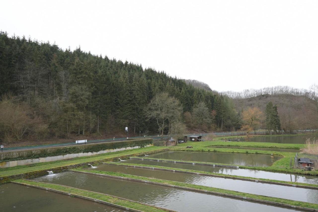 Zimmer Ohne Fruehstueck In Der Forellenzucht Burgen  Extérieur photo