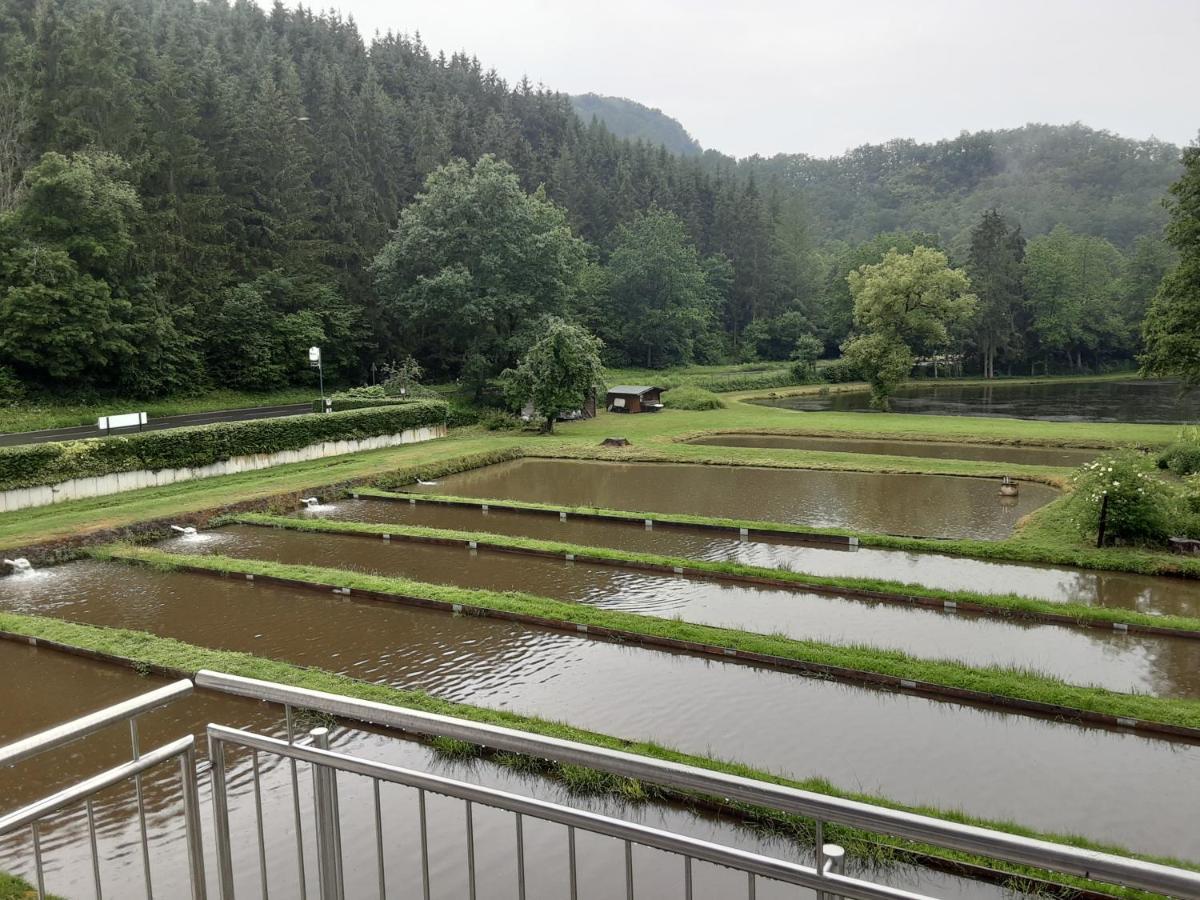Zimmer Ohne Fruehstueck In Der Forellenzucht Burgen  Extérieur photo