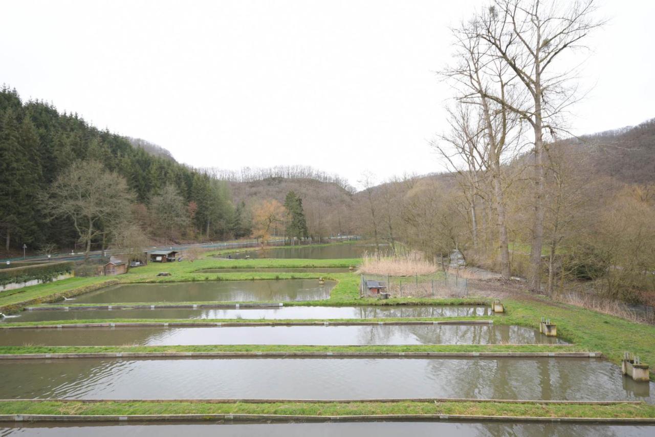 Zimmer Ohne Fruehstueck In Der Forellenzucht Burgen  Extérieur photo